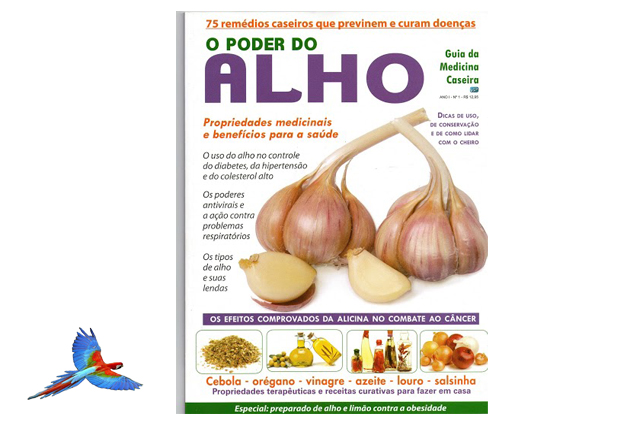 Garlic Natural Health Food picture cover of magazine